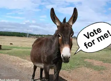 Consulenza legale gratuita